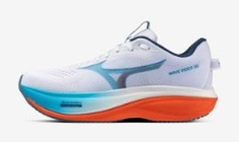 Mizuno WAVE RIDER 30